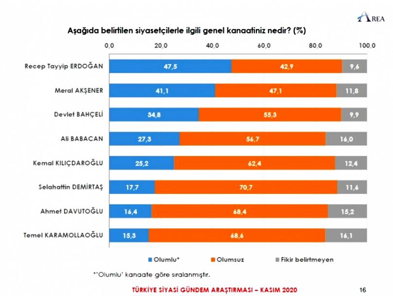 Area Araştırma