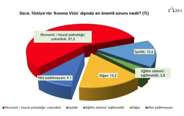 Area Araştırma