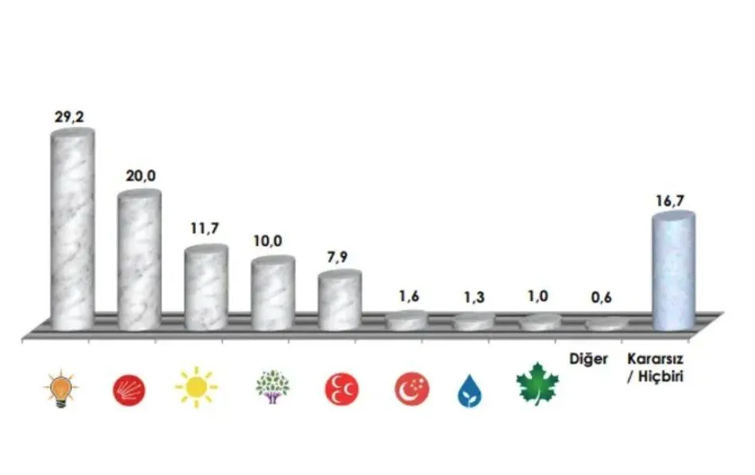 Area Araştırma